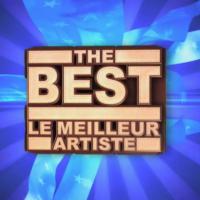 The Best : Pourquoi l'émission de TF1 peut devenir incontournable...