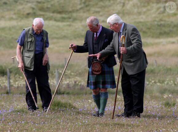 Le prince Charles, duc de Rothesay en Ecosse, en promenade dans les prairies, riches en fleurs rares, en bourdons et en papillons, qui longent la baie de Dunnet, le 5 août 2013.