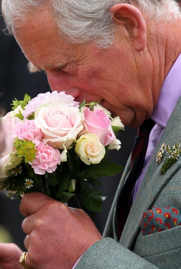 Le prince Charles, duc de Rothesay en Ecosse, lors des Mey Highlands Games le 3 août 2013
