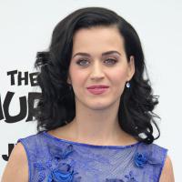 Katy Perry : Enfin débarrassée de son nid d'amour avec Russell Brand