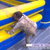 Valérie Benaïm après un combat de boue dans Touche pas à mon poste, le mercredi 4 septembre 2013.