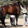 Jennifer Garner et son fils Samuel sont allés voir des chevaux à Pacific Palisades, le 16 septembre 2013.