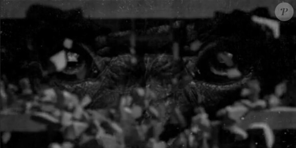 Monkey Me, nouveau clip de Mylène Farmer, octobre 2013.