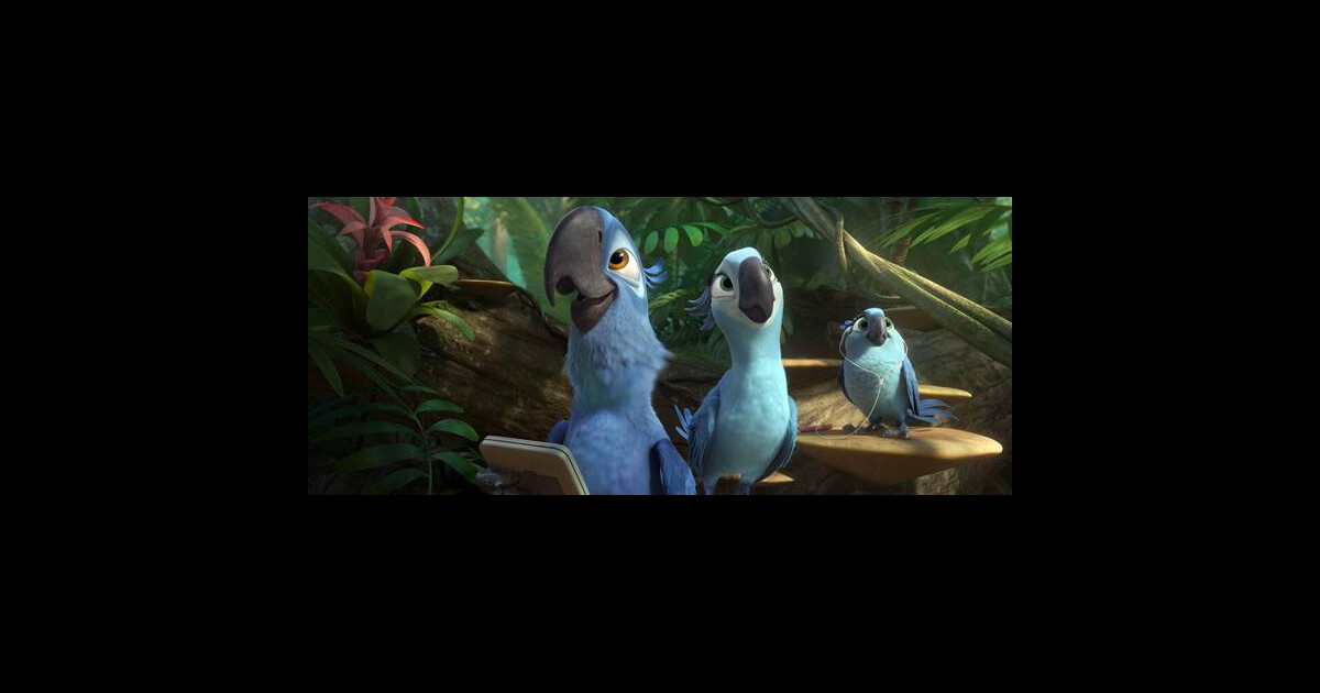 Rio 2 Anne Hathaway Et Jesse Eisenberg Perroquets Amoureux Et