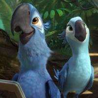 Rio 2 : Anne Hathaway et Jesse Eisenberg, perroquets amoureux et intrépides