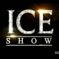 Ice Show : Une Miss France au casting, Marion Bartoli out... On fait le point