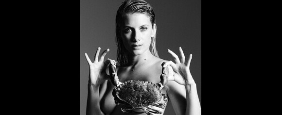 Mélanie Laurent pose nue avec un crabe pour la campagne Fishlove qui s'expose du 28 mai au 1er juin 2013 à la galerie Baudoin Lebon à Paris.