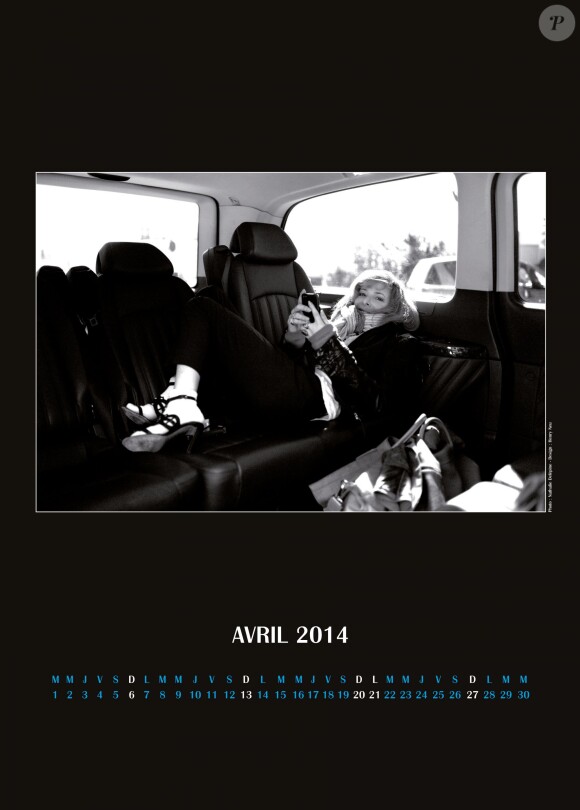 Le calendrier 2014 de Mylène Farmer, tiré de sa tournée Timeless 2013, sortira le 28 novembre 2013.