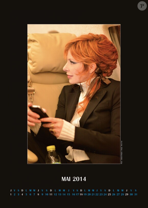 Le calendrier 2014 de Mylène Farmer, tiré de sa tournée Timeless 2013, sortira le 28 novembre 2013.