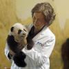 La reine Sofia d'Espagne avec un bébé panda au zoo de Madrid le 28 novembre 2013