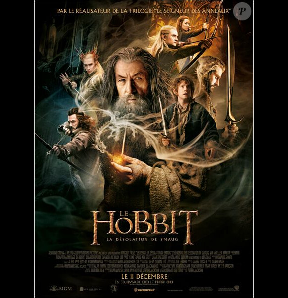 Affiche du film Le Hobbit : La Désolation de Smaug