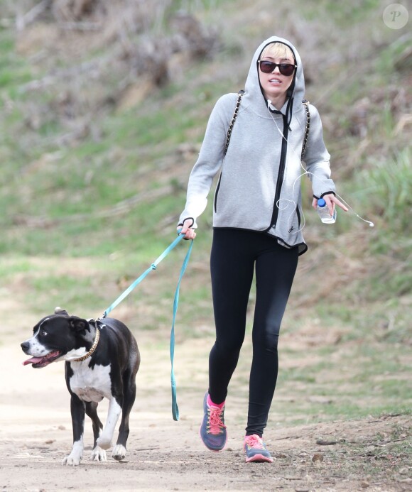 Miley Cyrus promène son chien à Beverly Hills, le 12 janvier 2014.