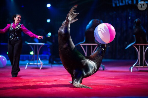 Image de la représentation du 21 janvier 2014 au 38e Festival International du Cirque de Monte-Carlo, sous le chapiteau Fontvieille, en présence de Stéphanie de Monaco accompagnée de sa fille Pauline Ducruet et du prince Albert avec la princesse Charlene. Une soirée marquée par la remise des prix du Festival, les Clowns d'or, d'argent et de bronze.
