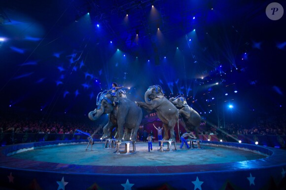 Image de la représentation du 21 janvier 2014 au 38e Festival International du Cirque de Monte-Carlo, sous le chapiteau Fontvieille, en présence de Stéphanie de Monaco accompagnée de sa fille Pauline Ducruet et du prince Albert avec la princesse Charlene. Une soirée marquée par la remise des prix du Festival, les Clowns d'or, d'argent et de bronze.