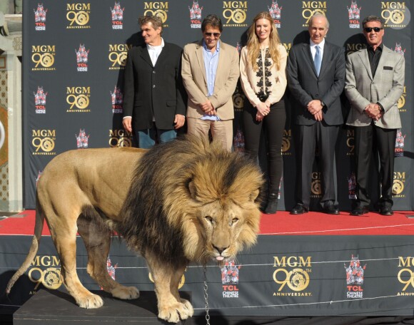 Sylvester Stallone et le directeur de la Metro-Goldwyn-Mayer, Gary Barber, lors de la cérémonie des empreintes de la MGM pour ses 90 ans, devant le TCL Chinese Theatre avec sa mascotte le lion Leo, le 22 janvier 2014 à Los Angeles. Tout le monde reste loin du lion