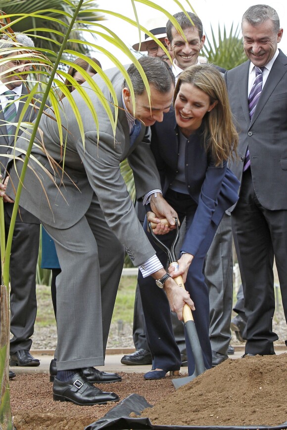 Le prince Felipe et la princesse Letizia d'Espagne ont planté un palmier le 28 janvier 2014 pour l'inauguration de la palmeraie de Ténérife, dans les îles Canaries.