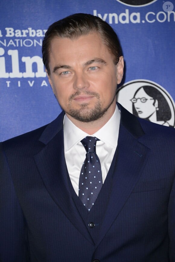 Leonardo DiCaprio à Santa Barbara le 6 février 2014.