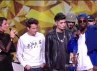 Victoires de la Musique 2014 : 1995 au Zénith comme au stade