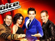 The Voice 3 : Découvrez les équipes des coachs, désormais au complet !