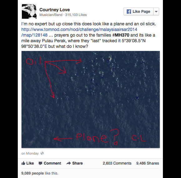 Mystère du vol MH370 de Malaysia Airlines, Courtney Love a mené l'enquête et posté ses conclusions sur les réseaux sociaux, le 17 mars 2014.