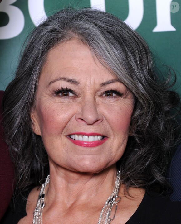 Roseanne Barr - Soirée presse organisée par la chaîne NBC Universal au Langham Huntington Hotel & Spa à Los Angeles. Le 8 avril 2014.