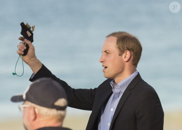 Le prince William donnant le départ d'une course le 18 avril 2014 sur la plage de Manly, en Australie
