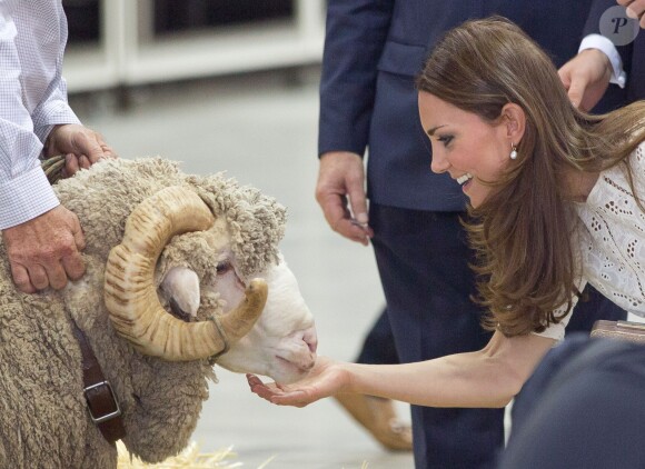 Kate Middleton, en Zimmermann, a fait connaissance avec le bélier Fred, un superbe Mérinos, lors du Royal Easter Show le 18 avril 2014 à Sydney