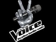 The Voice 3, la finale : Entre programmation éclectique et invités exceptionnels