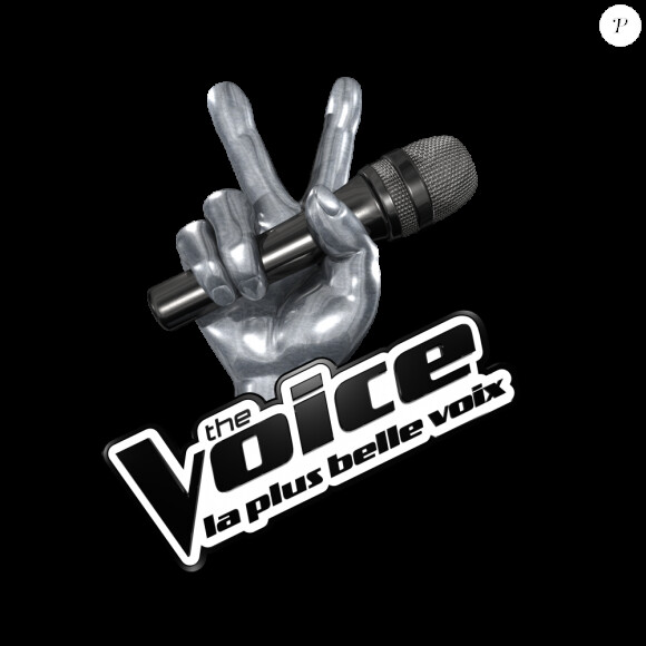 The Voice 3 - la finale. Le samedi 10 mai à 20h55 sur TF1.