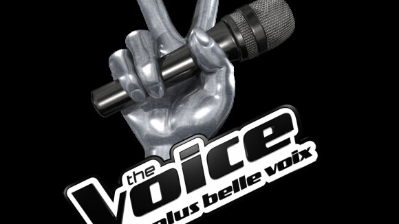 The Voice 3, la finale : Entre programmation éclectique et invités exceptionnels