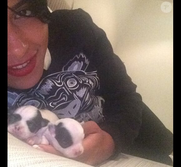 La belle Ayem dévoile les deux nouveaux amours de sa vie, ses chiots. Instagram, mai 2014.