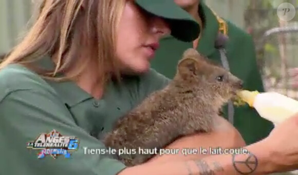 Anaïs nourrit un koala - "Les Anges de la télé-réalité 6" sur NRJ12. Episode du 11 juin 2014.