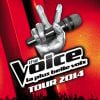 L'affiche de The Voice Tour