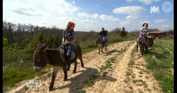 Promenade à dos d'anes pour Gilles, Carole et Michèle dans L'amour est dans le pré 2014, épisode 9, le lundi 4 aout 2014, sur M6