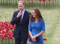 Kate Middleton, Maxima des Pays-Bas... : Royales face aux stars d'Hollywood