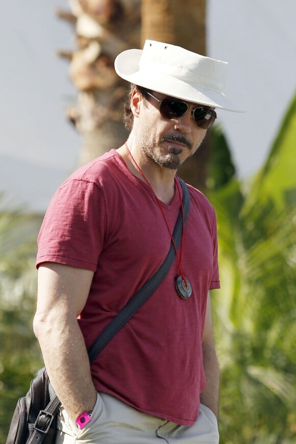 Robert Downey Jr au festival de Coachella le 15 avril 2011