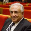 Dominique Strauss-Kahn au Sénat à Paris le 26 juin 2013.