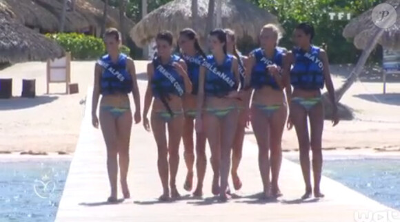Nage avec les dauphins - Les 33 prétendantes au titre de Miss France 2015 : Leur folle semaine à Punta Cana, en République Dominicaine