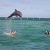 Nage avec les dauphins - Les 33 prétendantes au titre de Miss France 2015 : Leur folle semaine à Punta Cana, en République Dominicaine