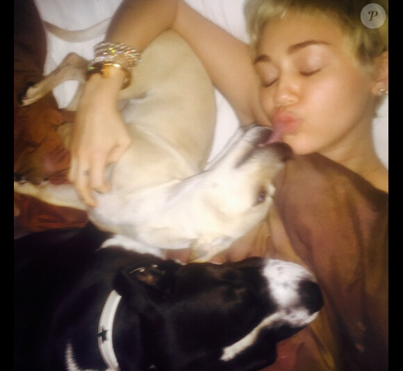 Sur son compte Instagram, la chanteuse américaine Miley Cyrus a ajouté une photo le 6 février 2015.