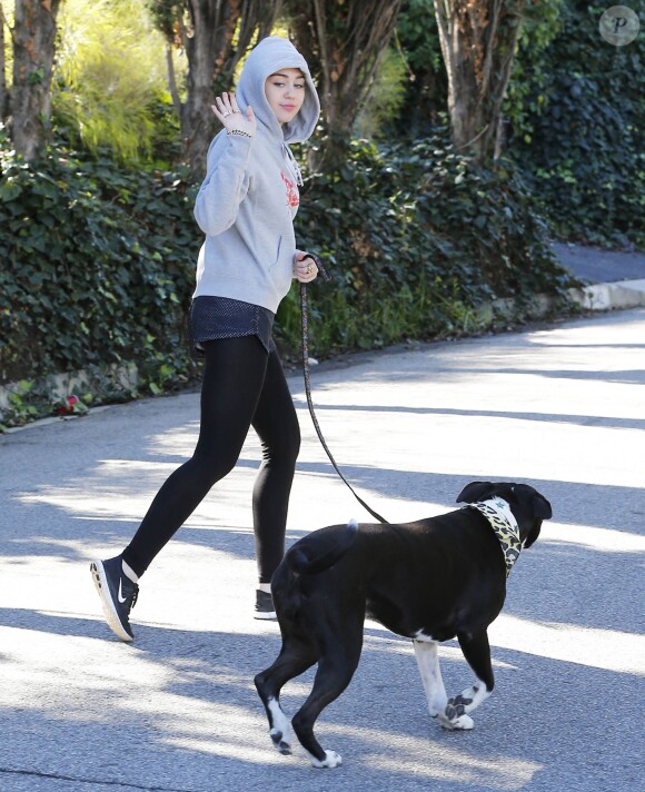 Miley Cyrus va promener son chien à Los Angeles le 15 janvier 2015 