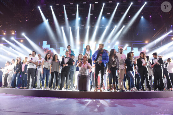 La troupe des Enfoirés dans le spectacle "Sur la route des Enfoirés", diffusé le vendredi 13 mars 2015 sur TF1