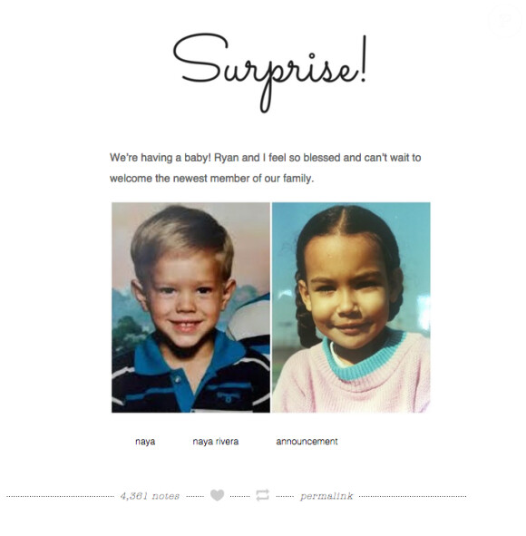 Naya Rivera et Ryan Dorsey annoncent attendent leur premier enfant sur le site officiel de l'actrice, février 2015.