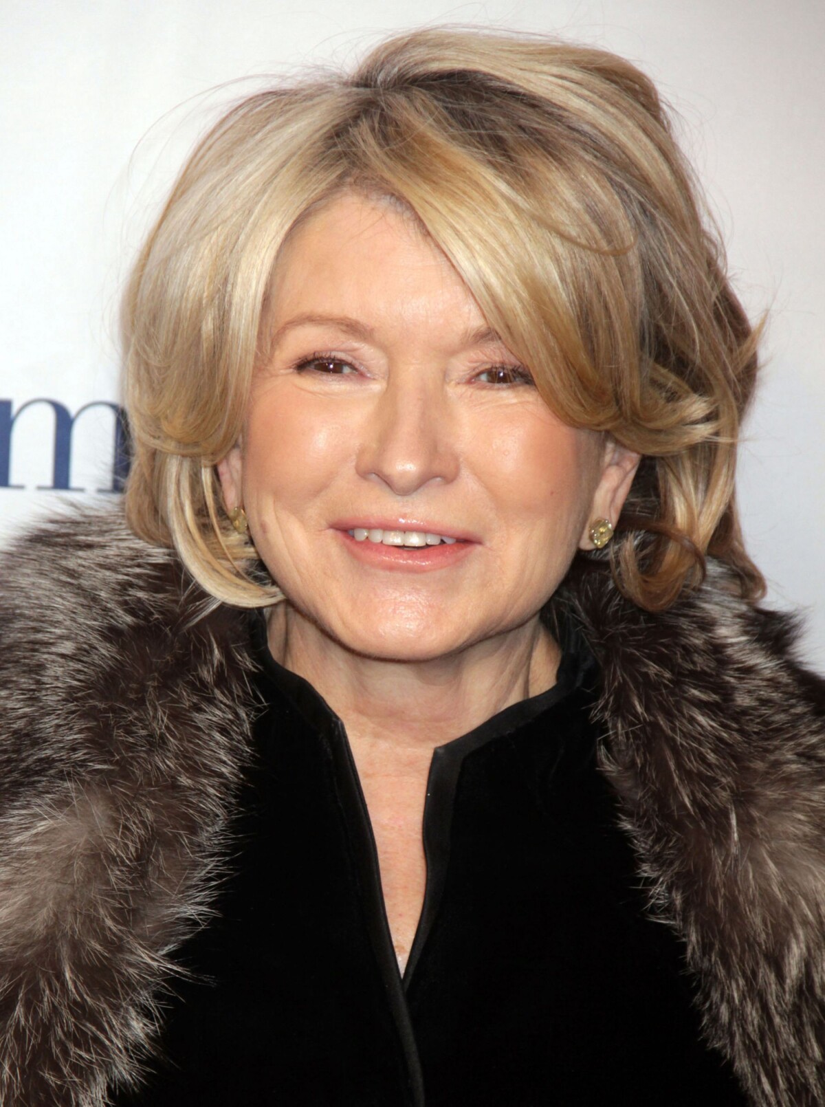 vid-o-martha-stewart-la-soir-e-comedy-central-night-of-too-many