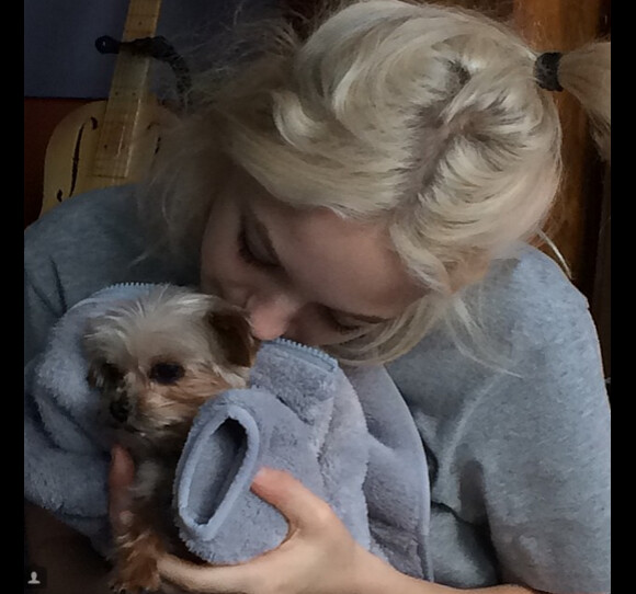 Le 1er décembre 2014 sur Instagram, Lily-Rose Depp a ajouté une photo avec son petit chien.