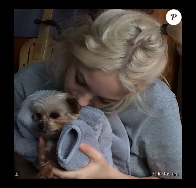 Le 1er décembre 2014 sur Instagram, Lily-Rose Depp a ajouté une photo avec son petit chien.