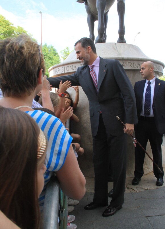 Le roi Felipe VI d'Espagne à la Real Maestranza de Caballeria à Séville le 12 juin 2015.