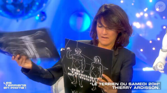 Florence Foresti se moque de Thierry Ardisson, dans Salut les terriens, le 20 juin 2015 sur Canal +.