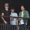 Niall Horan et Louis Tomlinson à Glastonbury le 27 juin 2015.