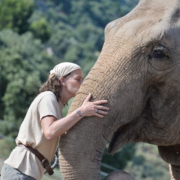 Exclusif - La princesse Stéphanie de Monaco a invité le 8 juillet 2015 le photographe Michael Alesi à un rendez-vous avec les éléphantes Baby et Népal, qu'elle a recueillies au domaine de Fonbonne en juillet 2013, à l'occasion des deux ans de leur sauvetage. L'occasion d'admirer une nouvelle fois la magnifique histoire d'amour entre la princesse et ses deux protégées, et de contribuer à leur sauvegarde en aidant l'association dédiée.